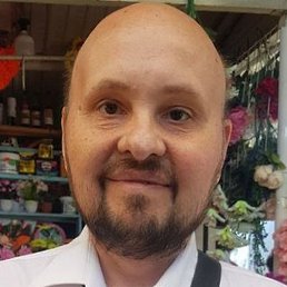 ������, ��������, 51 ���