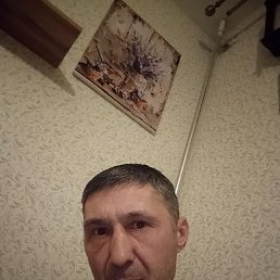 �����, 49 ���, ����