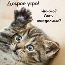 ���� ������, ������-��-����, 56 ��� - ��������� 30 ������� 2023 � ������ ���� ����������