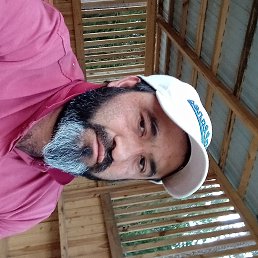 , 39, -