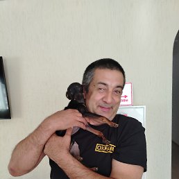 , 50, 
