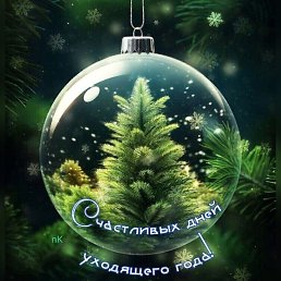 ��������, �������, 64 ����