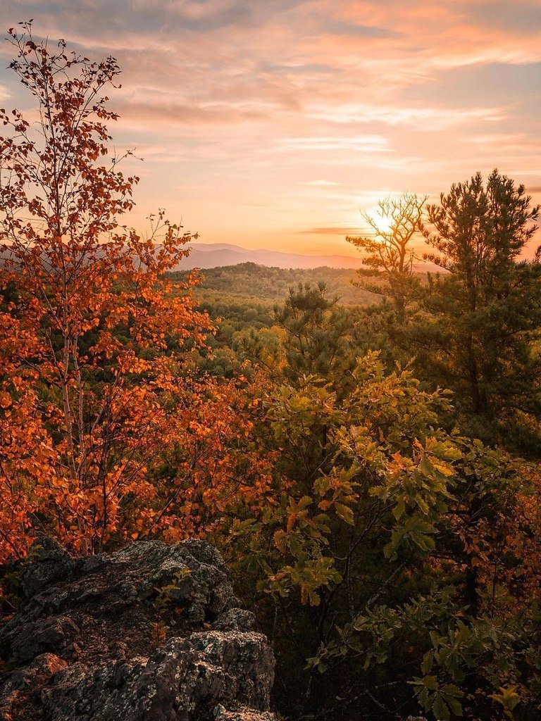 op pee ep.aapoc pa oo: e eo - 6