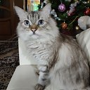 ���� �����, ����������� - ��������� 25 ������ 2025 � ������ ������ ��������