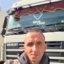 �����, 40 ���, ����-������