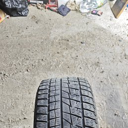 ���� ������, ���������, 45 ��� - ��������� 31 ��� 2024