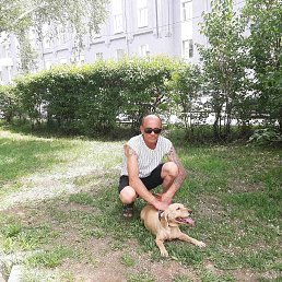 , 55, ,  