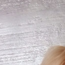 ����, ���������, 44 ����