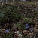 ���� ������, �����, 69 ��� - ��������� 29 ������� 2023