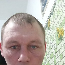  , 38 , 
