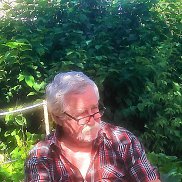 , 77 , 