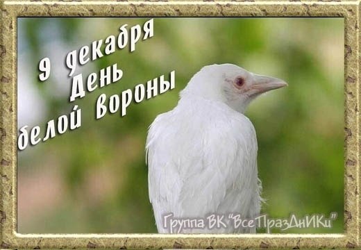 : , , , , , , , , ,  - 7