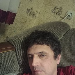 , 37, 