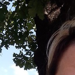 ����, �����, 40 ���