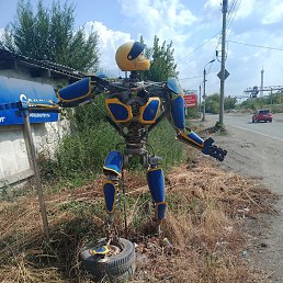 ���� ������, ���������, 54 ���� - ��������� 23 ������ 2025