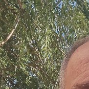 , 54 , 