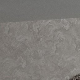 ������, ����, 49 ���