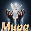���� Alexandr, ������� �������� - ��������� 15 �������� 2026 � ������ ������ ��������