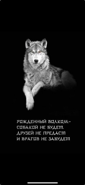 :) Волк - хищник,но из всех хищников он мне по душе,и все тут написано; я вполностью согласен, то ...