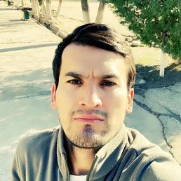 , 37, 