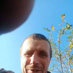 �����, 39 ���, ���������