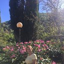 ���� �����, ������, 55 ��� - ��������� 20 ������� 2024 � ������ ���� ����������