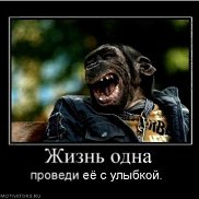 Viktor, 38 ���, ������