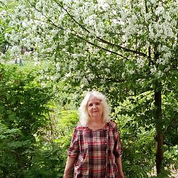 ���� 110��.�� �����., ����-�����������, 77 ���