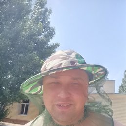 , 40, 