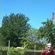 ����, 66 ���, ���������