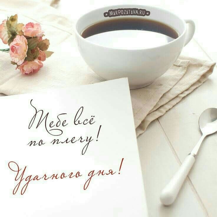 ������� ���, ������! �������� ������!