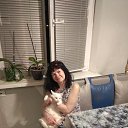 ���� �������, �����, 50 ��� - ��������� 10 ������ 2024