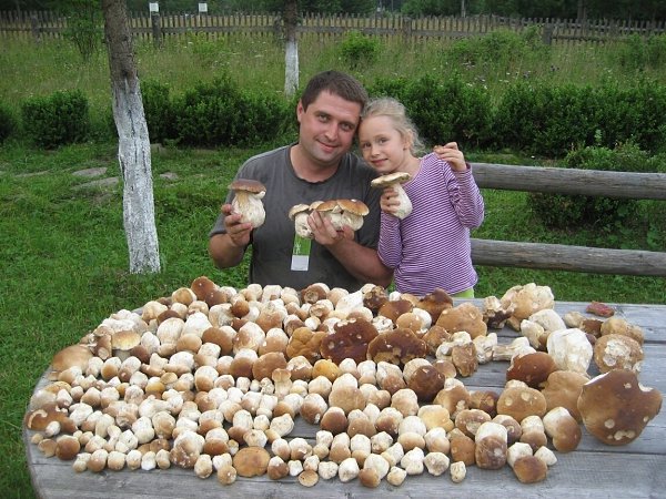 Вот это я понимаю - ГРИБАЛКА! - 5