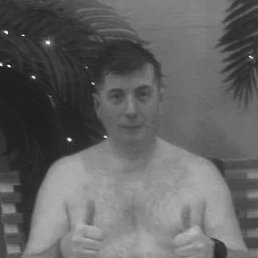 ������, �����������, 49 ���