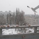 ���� ������, ����, 77 ��� - ��������� 24 ������ 2024 � ������ ������ ��������