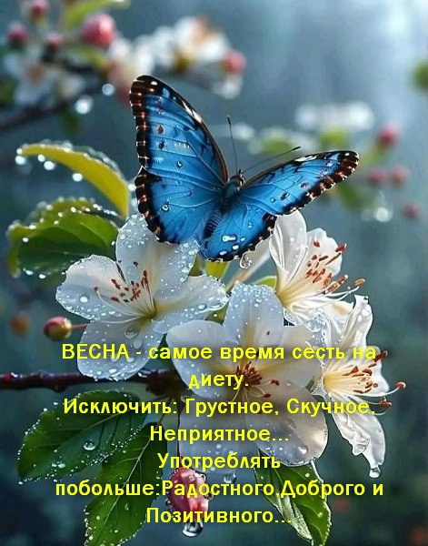  - 3  2025  12:23