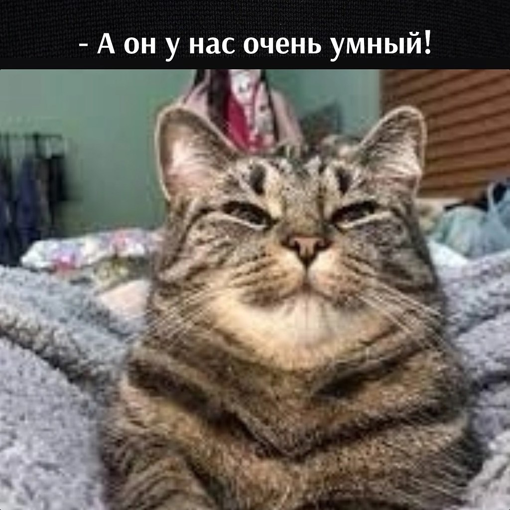       - 9  2025  11:04 - 2