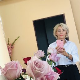 , 58, 