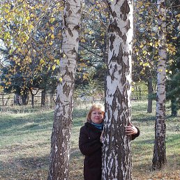 ������, �����������, 63 ����