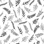 �����, 40 ���, ������������