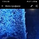 ���� �����, ����, 50 ��� - ��������� 18 ������� 2025 � ������ ���� ����������