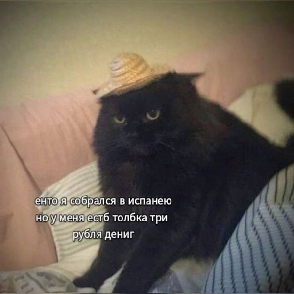   !