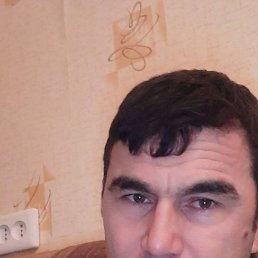 ���� ��������, ������, 43 ���� - ��������� 13 ������ 2024