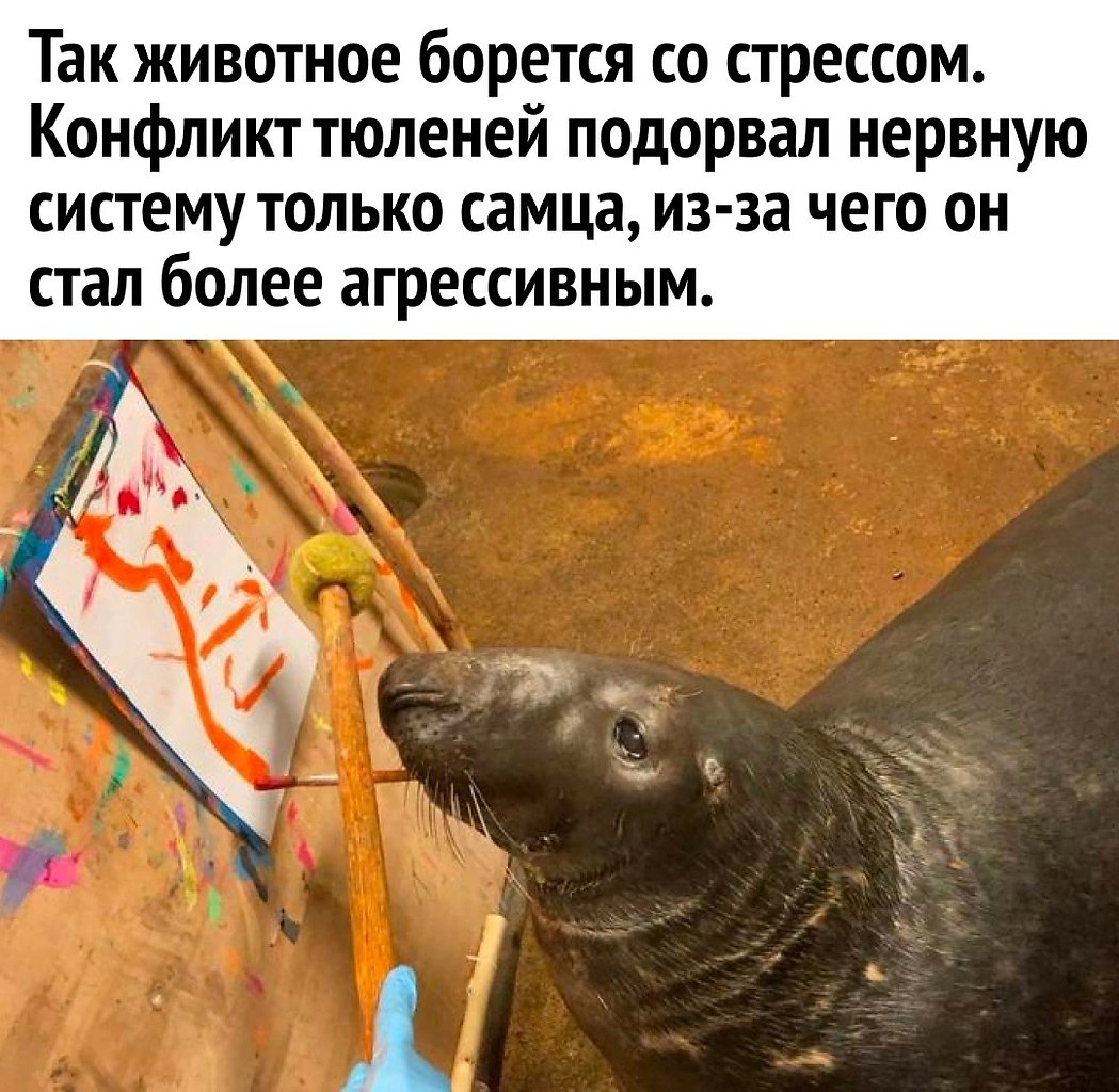   -  - 2
