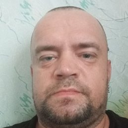 �������, �����-���������, 41 ���