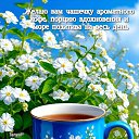 ���� ������, �������� - ��������� 20 ����� 2026 � ������ ������ ��������