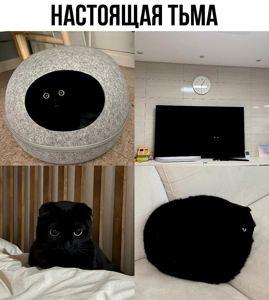 Какое чудо