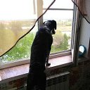 ���� ������, ������, 46 ��� - ��������� 2 ����� 2026 � ������ ���� ����������
