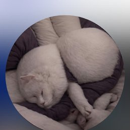 ���� ���������, ������ - ��������� 26 ������� 2026