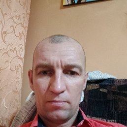 ���� ���������, ������, 42 ���� - ��������� 12 ����� 2024